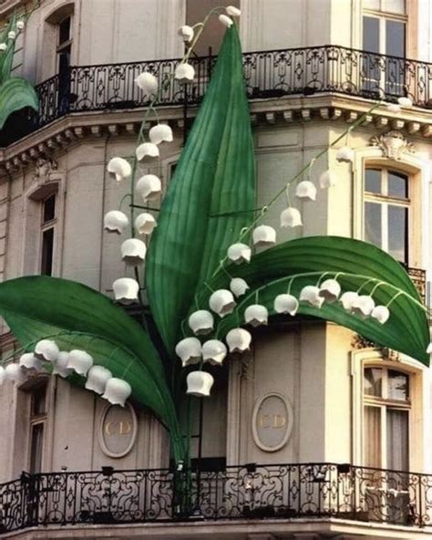 christian dior lily of the valley|lily of the valley.